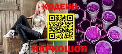 мдпв Камышлов