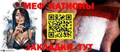 мдпв Камышлов