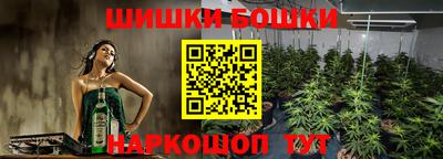 мдпв Камышлов