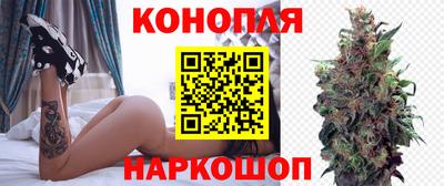 мдпв Камышлов
