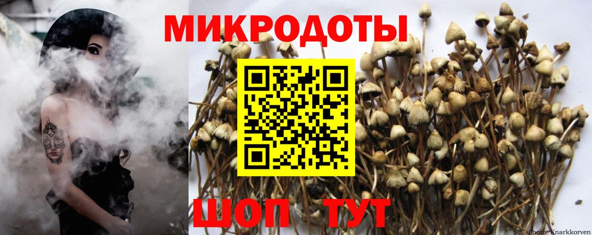Лесозаводск  Псилоцибиновые грибы GOLDEN TEACHER  Вход с VPN 